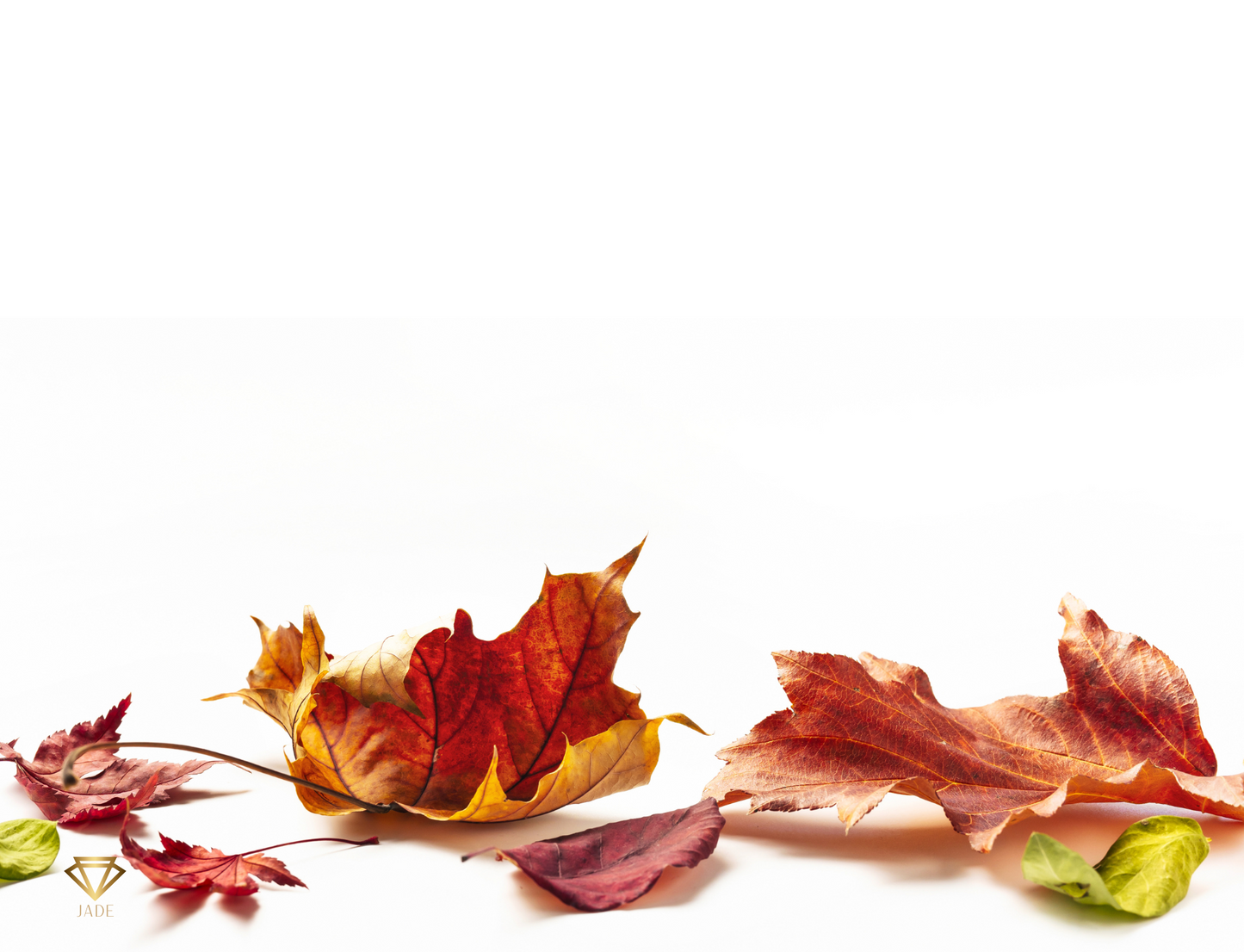 Auburn Leaves Placemats