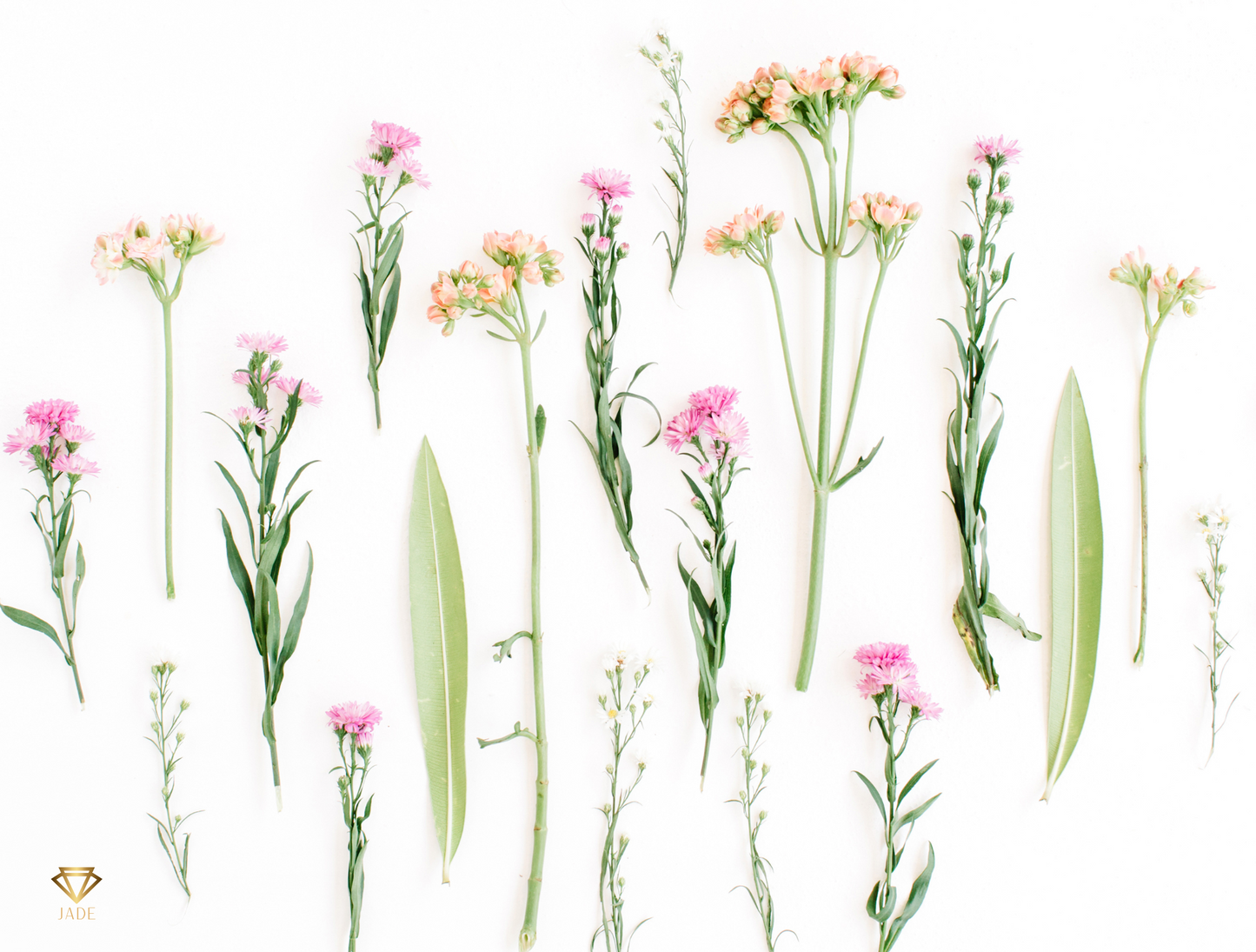 Summer Breeze Place Cards